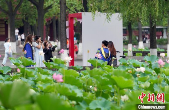 6月19日，时值一年毕业季，四川大学望江校区荷花池里的荷花盛开，成为了毕业生们的打卡圣地，吸引了众多毕业生拍照留念。图为毕业生在荷花池边拍照留念。中新社记者 安源 摄